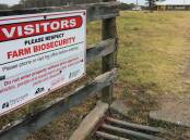 A "key concern" for the National Farmers Federation is the funnelling of collected biosecurity protection levy funds into consolidated revenue. Picture supplied.