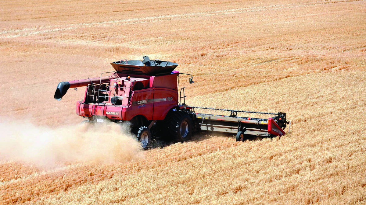 As the winter crop harvest rolls-on in Argentina, poor yields are expected to reduce exportable surpluses and may open Asian market opportunities for Australian growers.