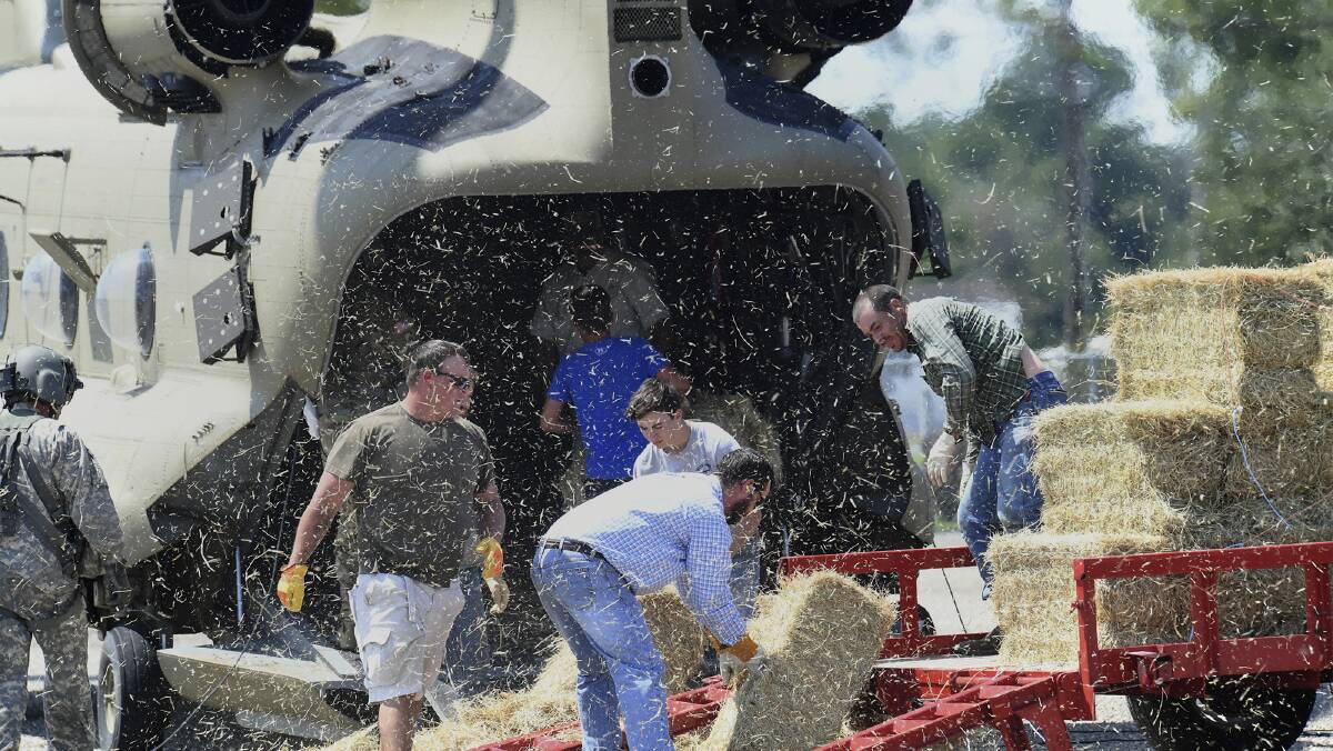 Volunteers and residents help Michigan Army National Guard load a Chinook helicopter with hay for cattle stranded by Hurricane Harvey in the Hamshire, Texas