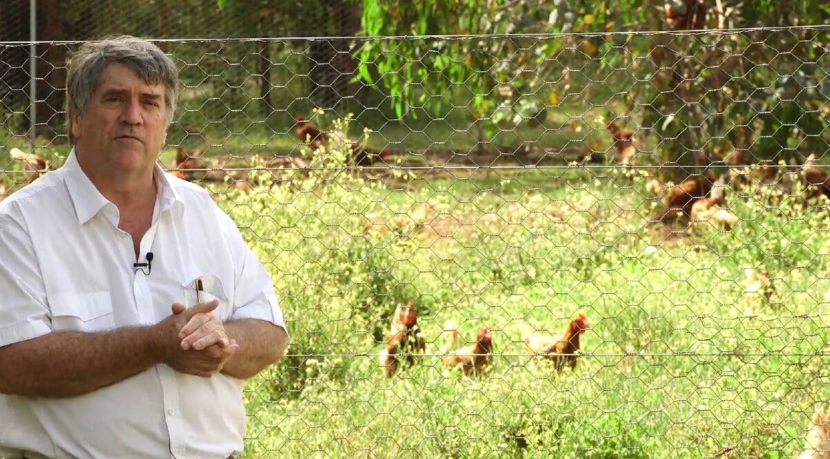 Poultry industry veterinary health specialist and University of Melbourne senior research fellow, Dr Peter Scott, from Victorian firm, Scolexia.