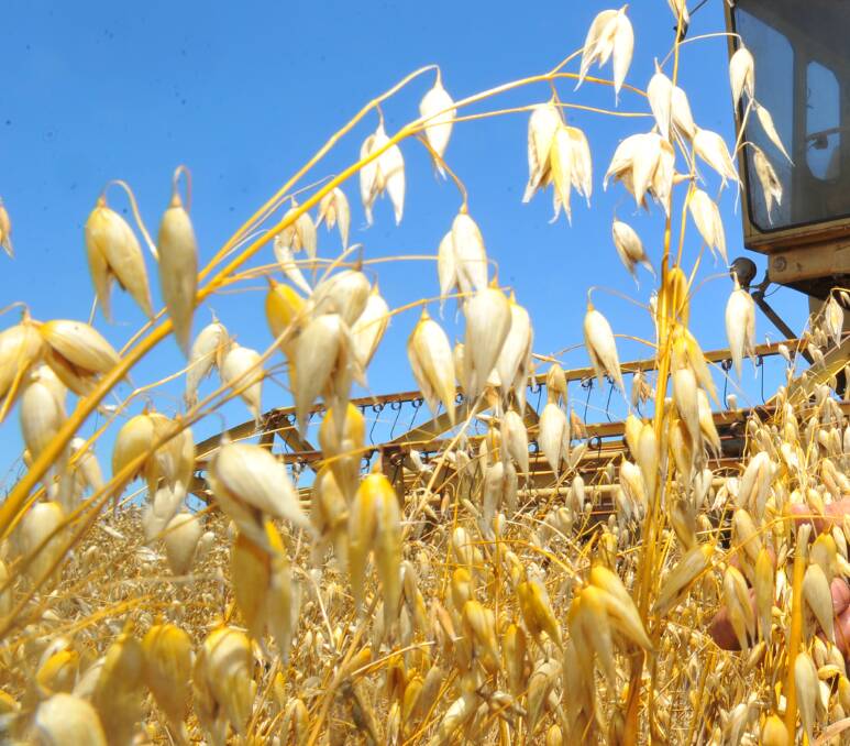Freedom Foods' newest Chinese alliance partner has China’s biggest oats products manufacturing business and has been importing grain from Western Australia for a decade