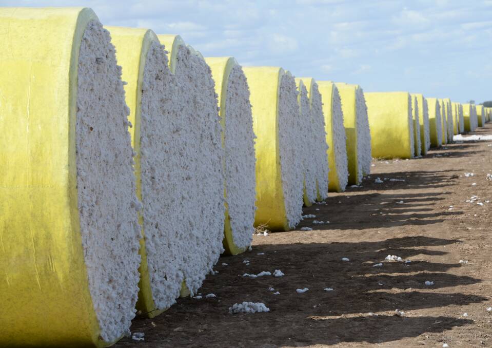 Pressure on the cotton market is also likely to come from big production increases in the US and India. 