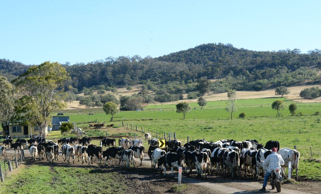 Given average seasons, dairy farm sector revenue are set to grow by 1.8 per cent until 2021-22 to reach $4.3 billion according to business analysis group IbisWorld.  