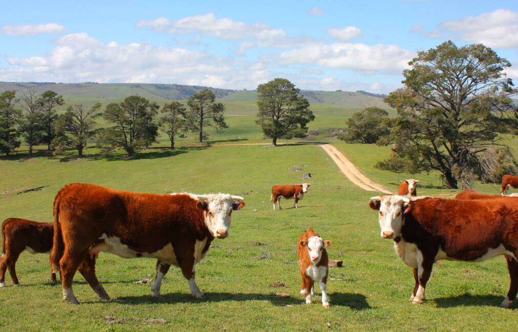 Cattle genomics patent fight heats up