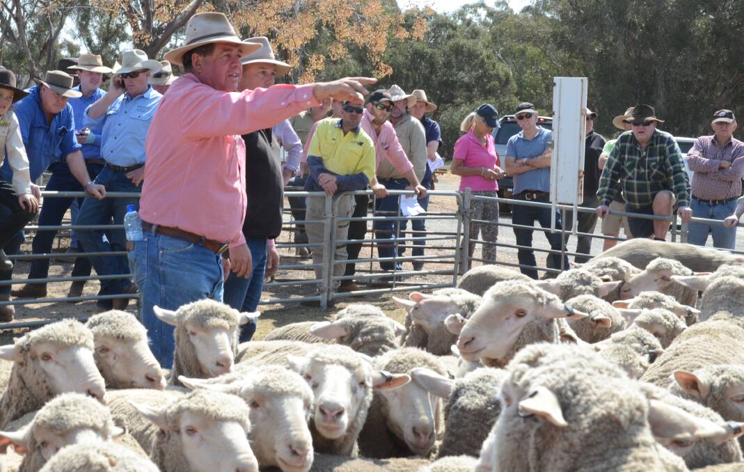 The much-improved wool market and continuing  demand for sheepmeat and beef cattle have helped drive profits for Elders' agency business and real estate turnover.