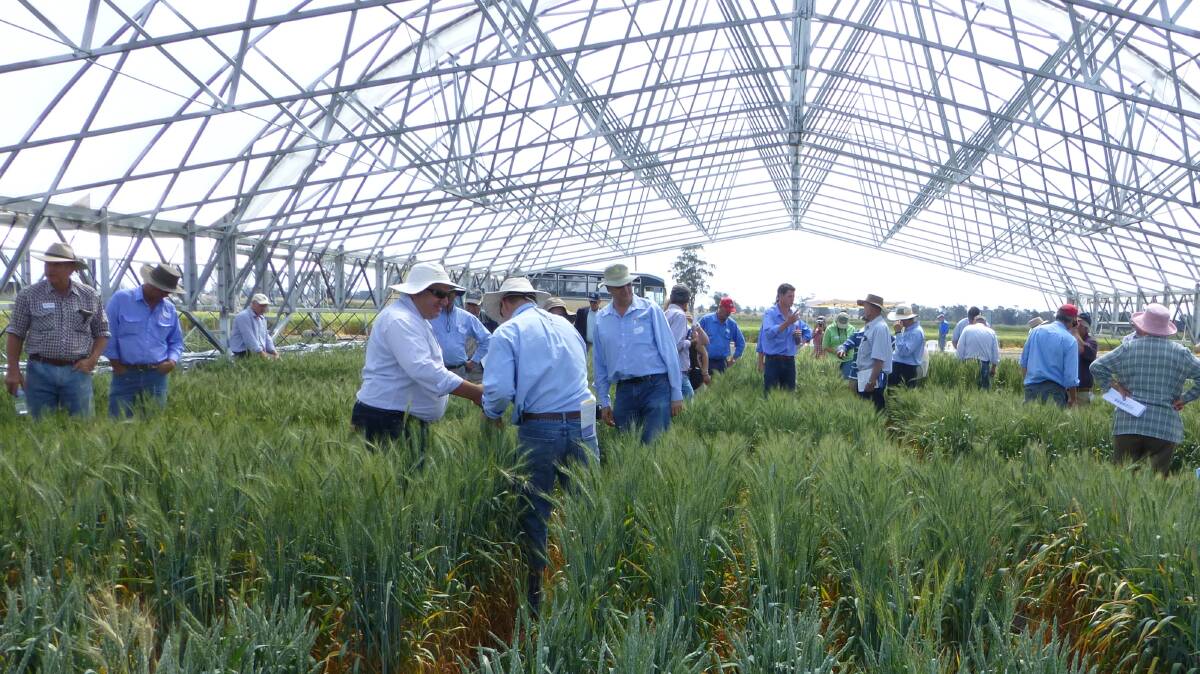 Resistance to herbicide is crippling graingrowers' cropping options and makes Bayer's joint venture with Grains Research and Development Corporation critical for agriculture in environments like Australia says outgoing GRDC chairman, Richard Clark. 