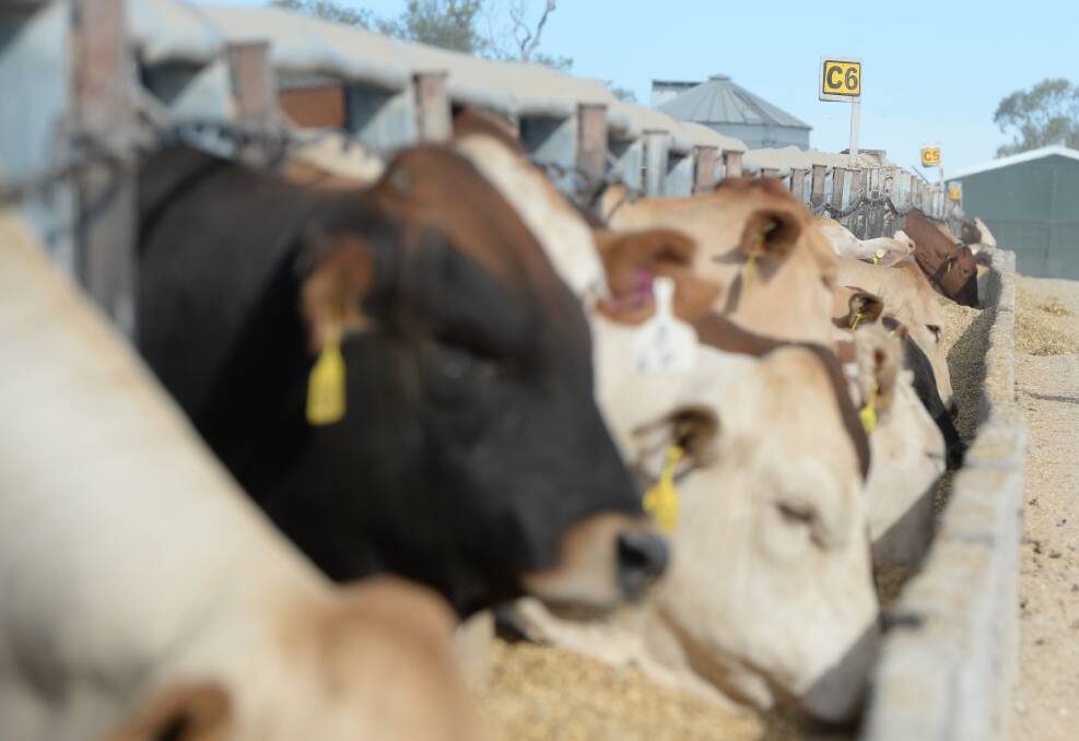 Global stockfeed production has grown about 13 per cent in value in the past five years.