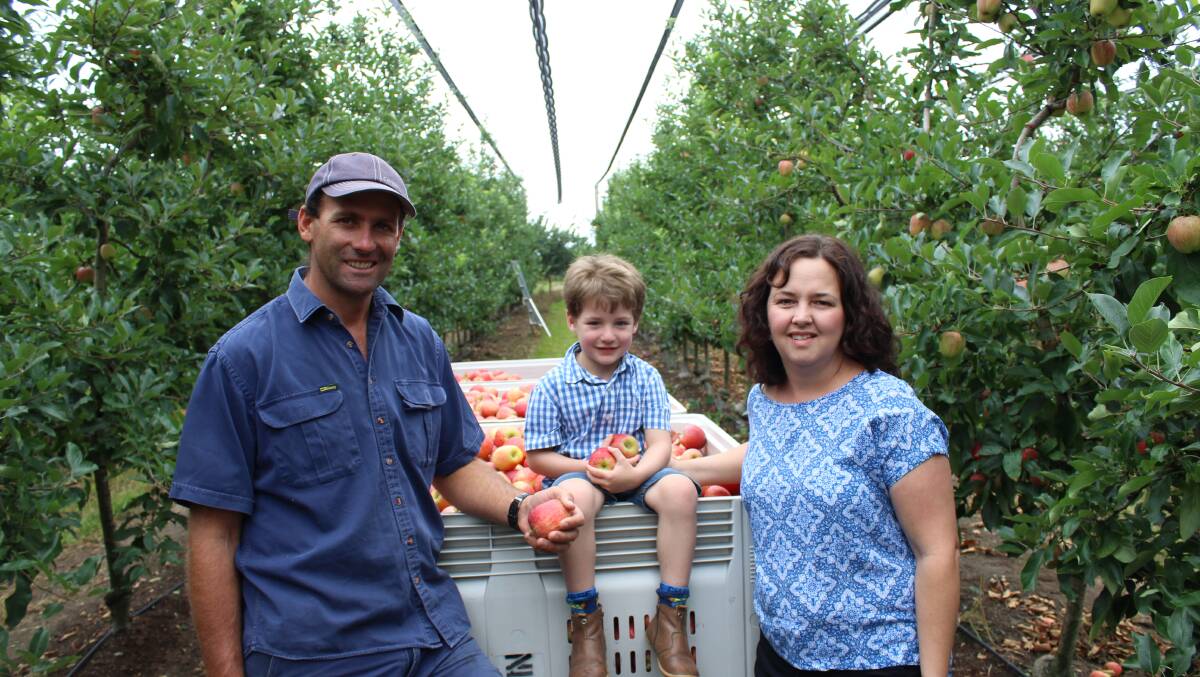 Third generation apple producer from the southern Queensland Granite Belt, Daniel Nicoletti (pictured with his wife Toni and son, Sean) is a regional winner in the 2017 Syngenta Growth Awards. Seven Australasian winners will be announced on November 30.