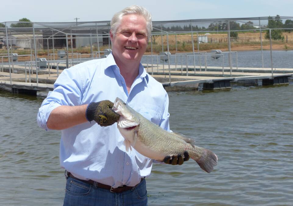 Murray Cod Australia chairman, Ross Anderson says consumers are paying a premium for the company's fish from its open aquaculture operations in the Murrumbidgee Irrigation Area.
