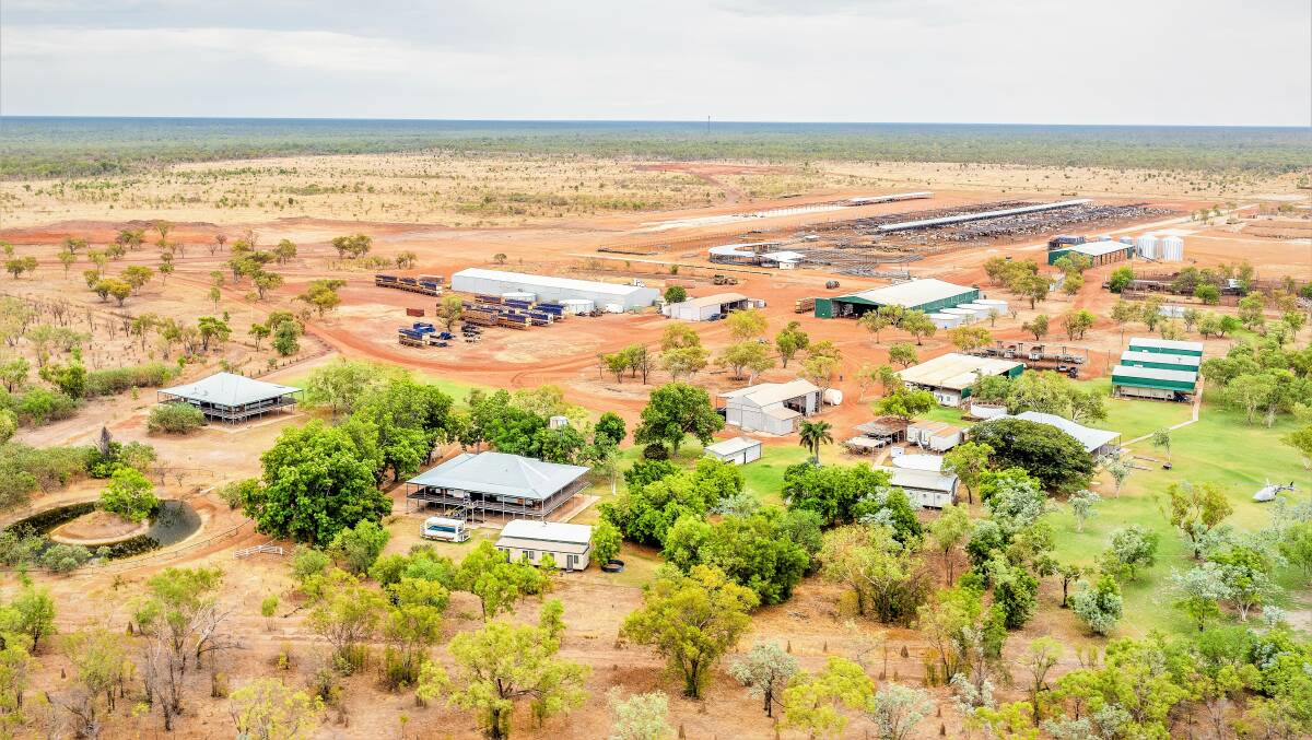 North Star Pastoral has offered its premium Northern Territory stations, Maryfield and Limbunya, for sale, measuring 670,000 hectares. Photo: Nutrien Harcourts.