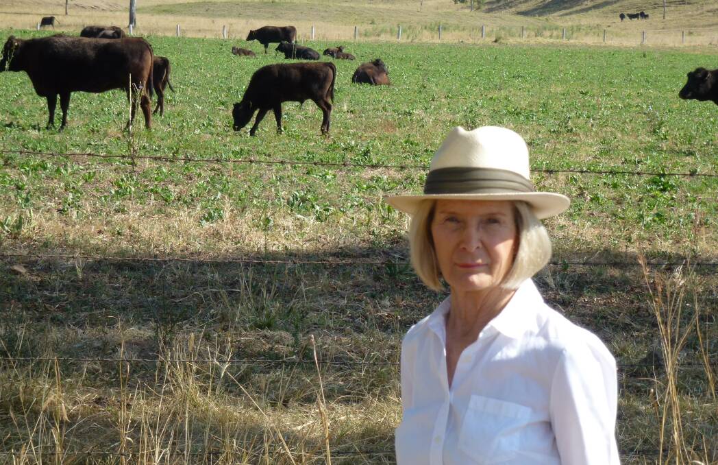  Wagyu breeding pioneer Barbara Benjamin, of Haddon, Victoria, with cattle. 