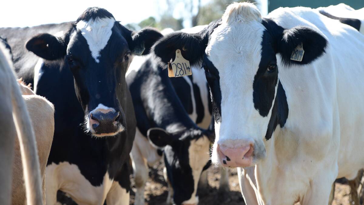 Speak up to instigate change, dairy farmers told