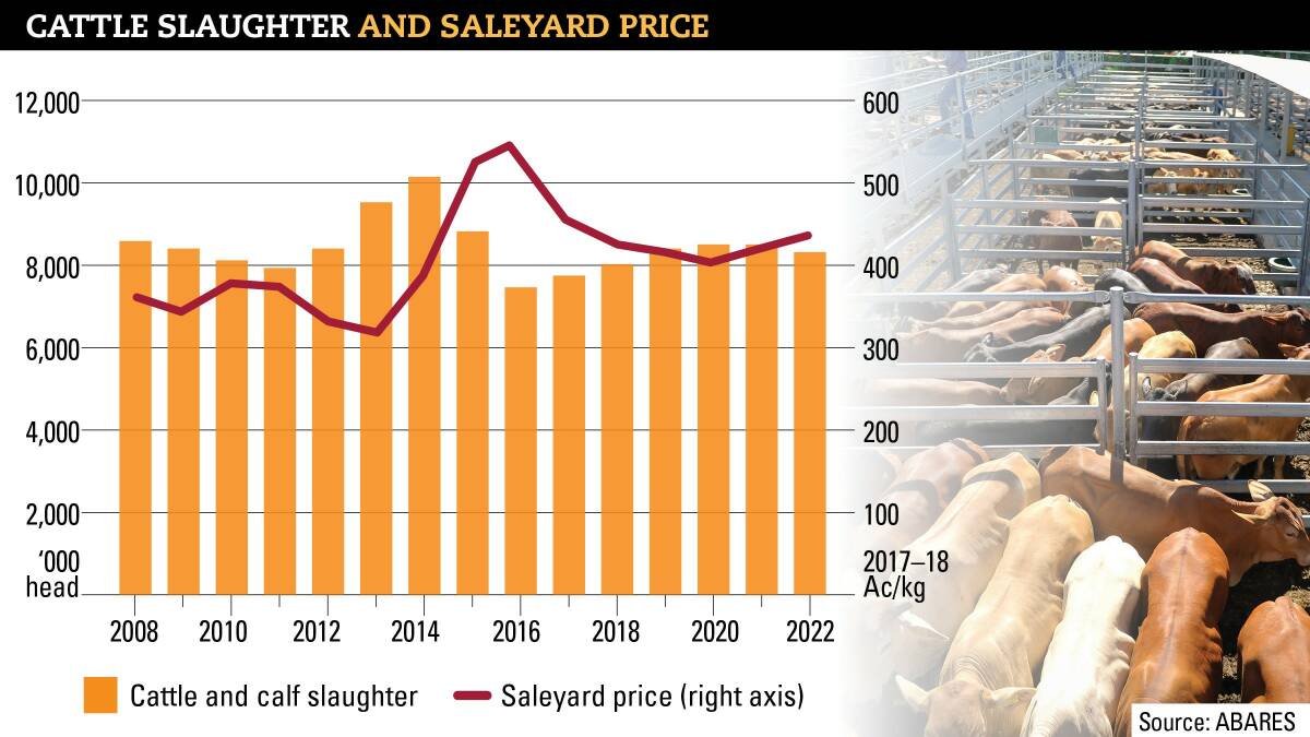 Cattle price momentum eases