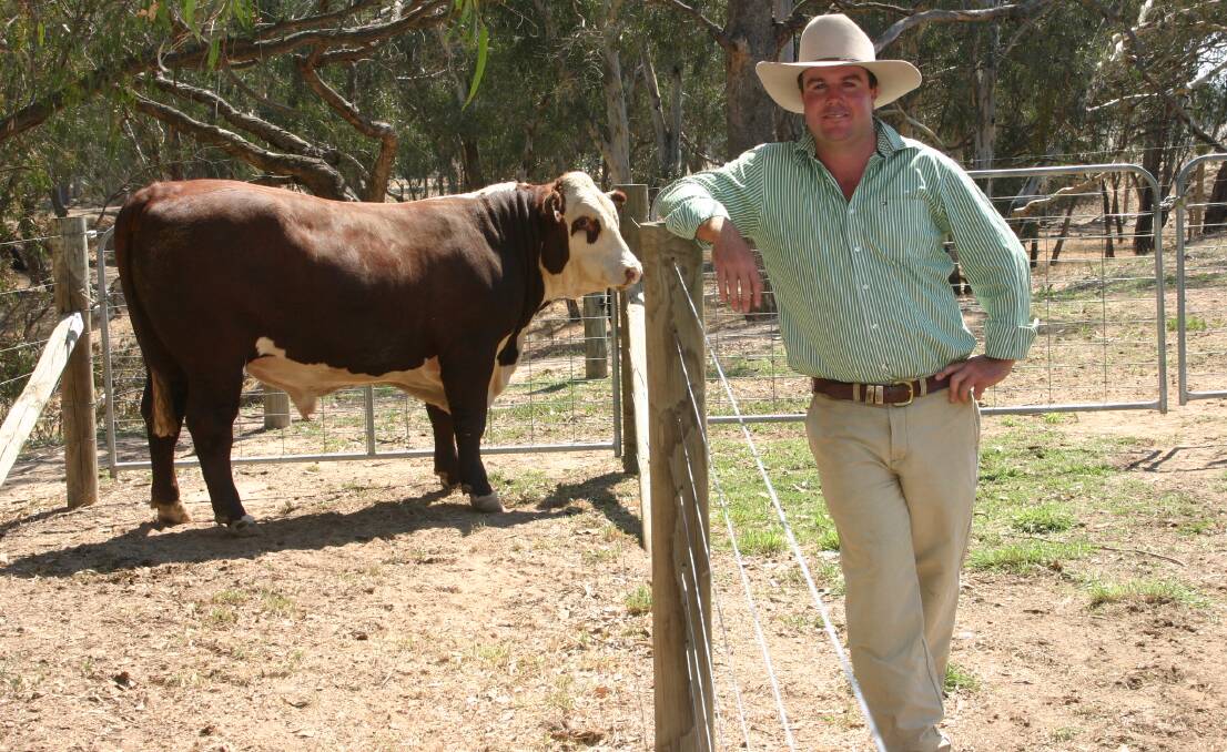 CONSISTENCY: Cattle Council of Australia board director Marc Greening says brands are essential for progressing the beef industry.