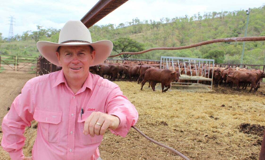 Townsville agent Tom Kennedy, Elders live export Queensland manager, with northern cattle headed to China for processing.