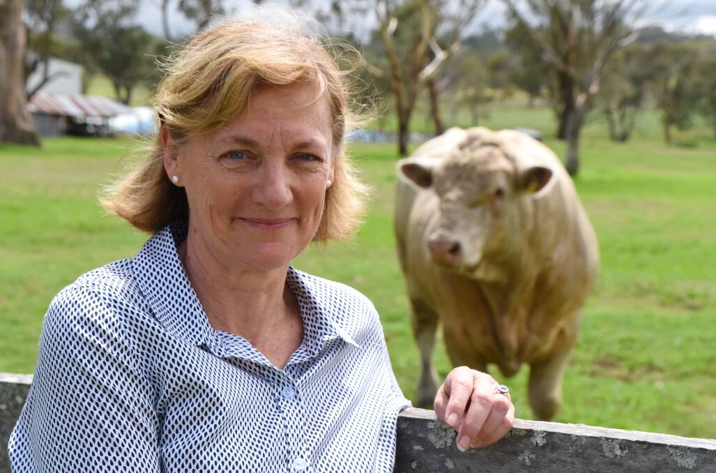 The beef industry's sustainability steering group (SSG) chair Prue Bondfield. 