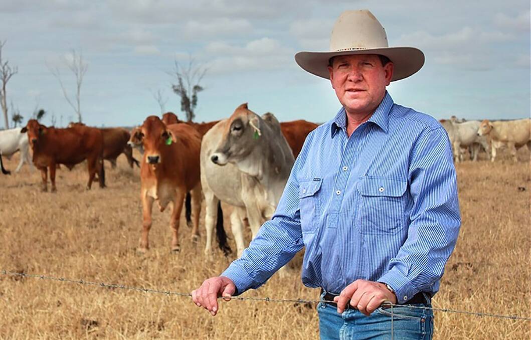 Central Queensland cattleman Ian McCamely says the selection process for Meat and Livestock Australia directors is robust and healthy.