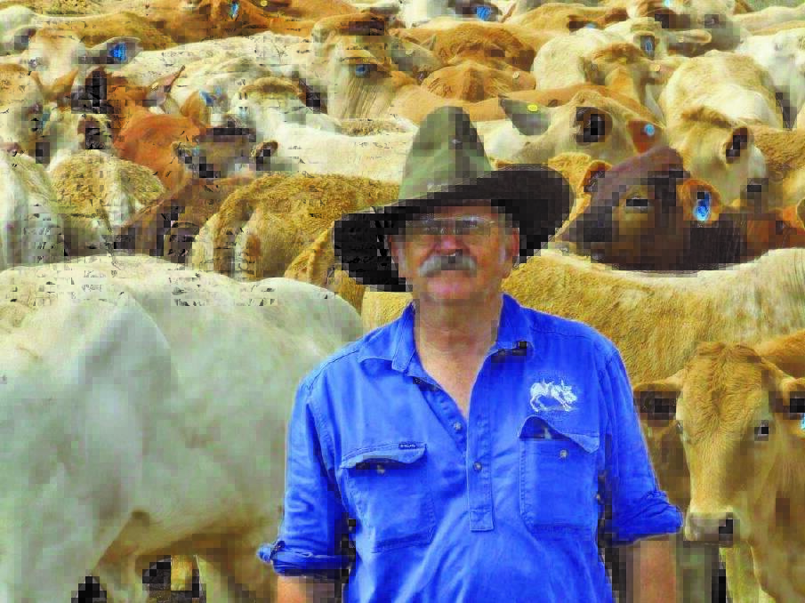 President of the Australian Veterinary Association cattle group Dr Alan Guilfoyle says the value of accurate pregnancy testing can't be underestimated as we look to rebuild our herd.