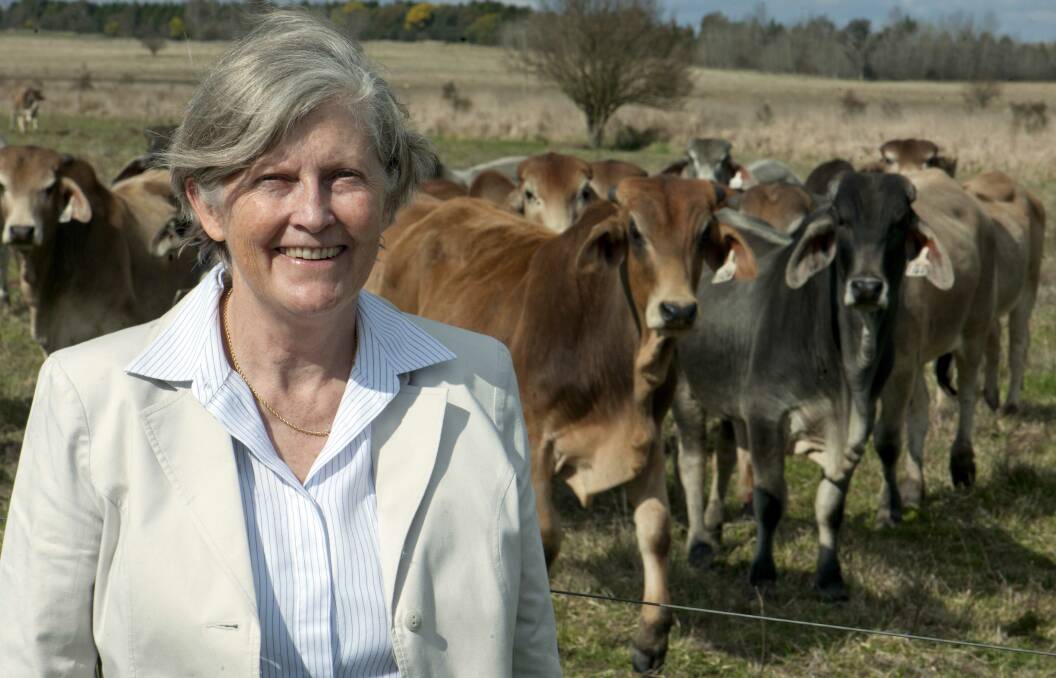 Leading cattle genetics researcher Professor Heather Burrow, from the University of New England at Armidale.