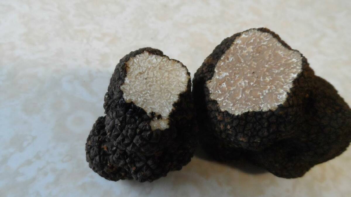 McDonald’s gets in on truffle action