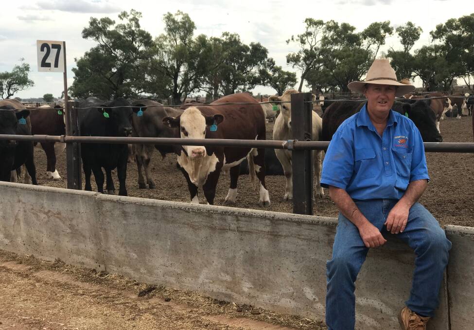 Woolworths' red meat supplier of the year Darren Frankel, Frampton Flat Feedlot at  Tullibigeal, near Condobolin.