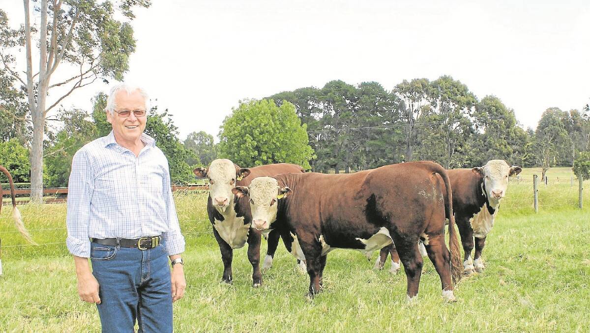 Bill Kee from Warringa Hereford Stud in Yarram, Victoria, is the new chairman of Herefords Australia.