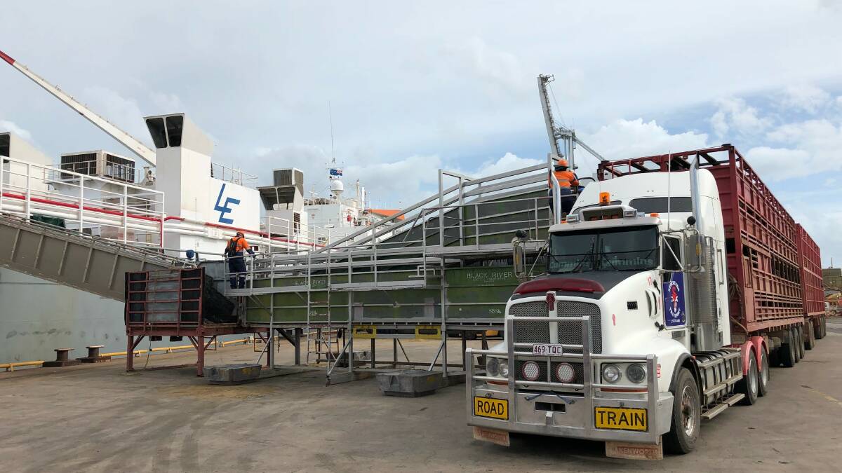 The first load of cattle destined for China via the Bison Express out of Townsville arriving this morning. 