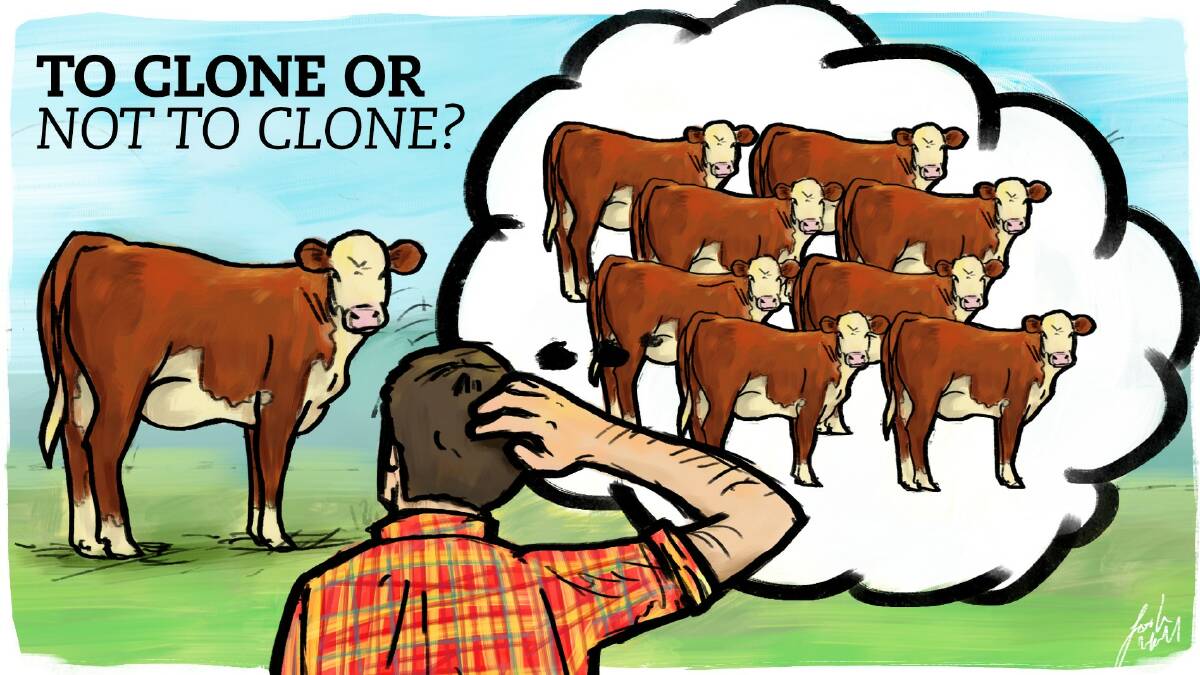 The pros and cons of cloning beef animals