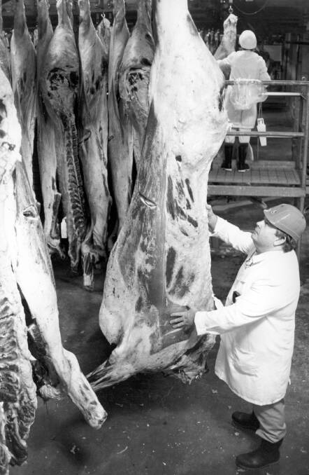 THE OLD WAY: This file photograph from Fairfax Media's agriculture collection shows a chiller assessor hard at work in a NSW abattoir in the early 1990s. 
