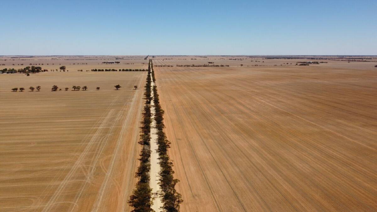 Farmers say the Cannie Ridge contains some of the best cropping country in the southern Mallee. Picture from VHM Ltd.
