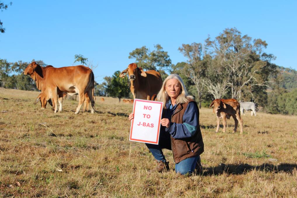 Boonah-based Brahman breeder Jan Delroy has started a “No to J-BAS” signature petition and calls for the new biosecurity system not to be implemented. Picture: Melody Labinsky