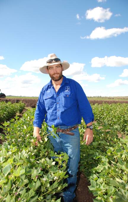 Rohan Hindle, Bungaree,Theodore in his Bollgard 3 irrigated cotton crop.