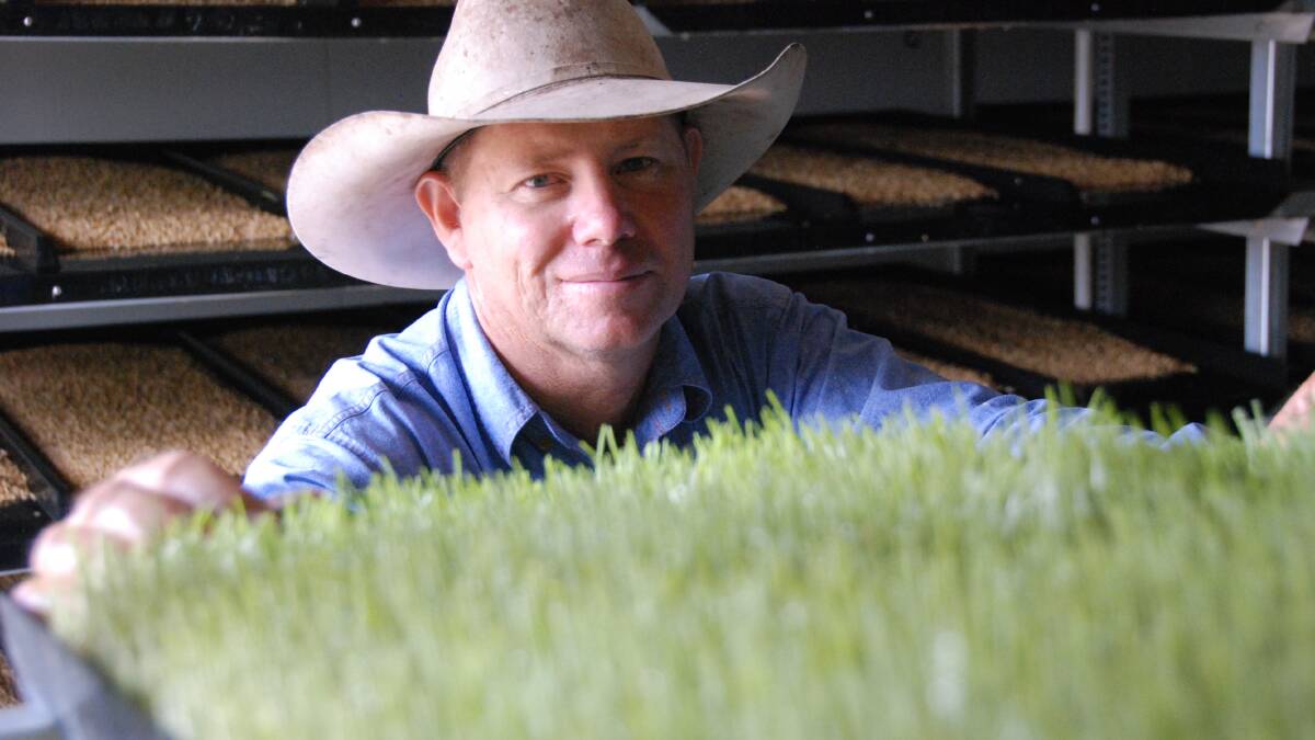 Kumbia cattle producer Ian Barbour in the family's irrigated malted barley seed fodder factory.