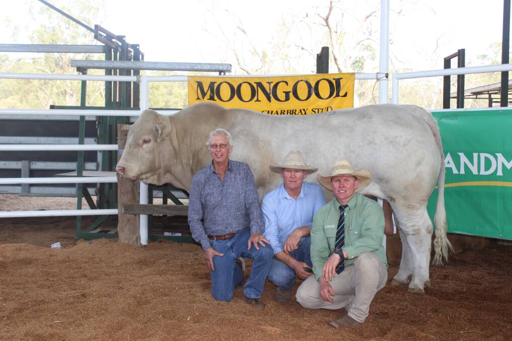 Doug Logan, Warrinilla, Rolleston, Ivan Price, and Coleby Ede with second top priced Moongool L77E (P) that sold for $64,000.