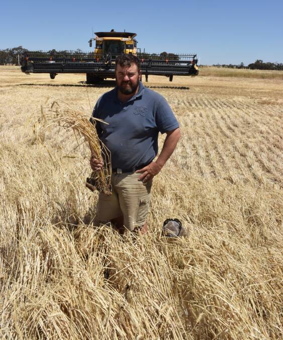 Wallup farmer Daniel Keam harvesting barley.