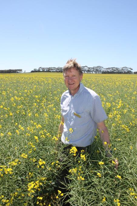 Chris Preston, University of Adelaide researcher, says growers can target ryegrass burdens in their canola phase.
