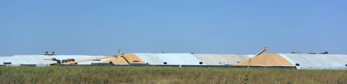 Grain bunkers are chock-a-block across Australia this year.