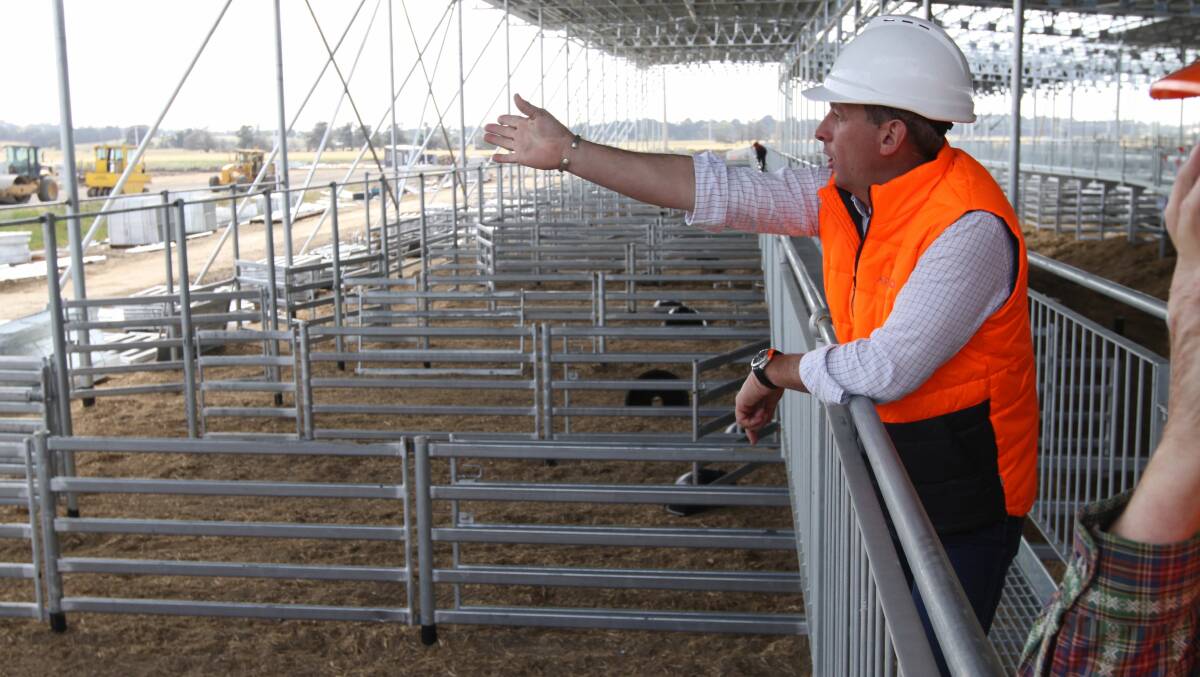 The arrest in Serbia of SELX director Rohan Arnold, pictured here at the Mortlake livestock exchange during the construction phase, has come as a shock to the livestock industry.