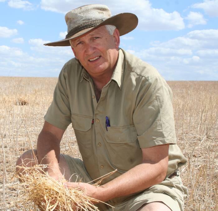 Gary McGill, Pastoralists and Graziers Association, says WA farmers are keen on canola but are struggling to find certified seed.