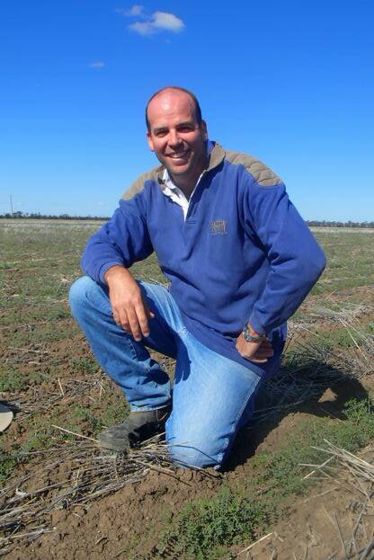 Dave Woods surveys Hat Trick chickpeas on his property during a crop walk as part of the Food Heroes day.