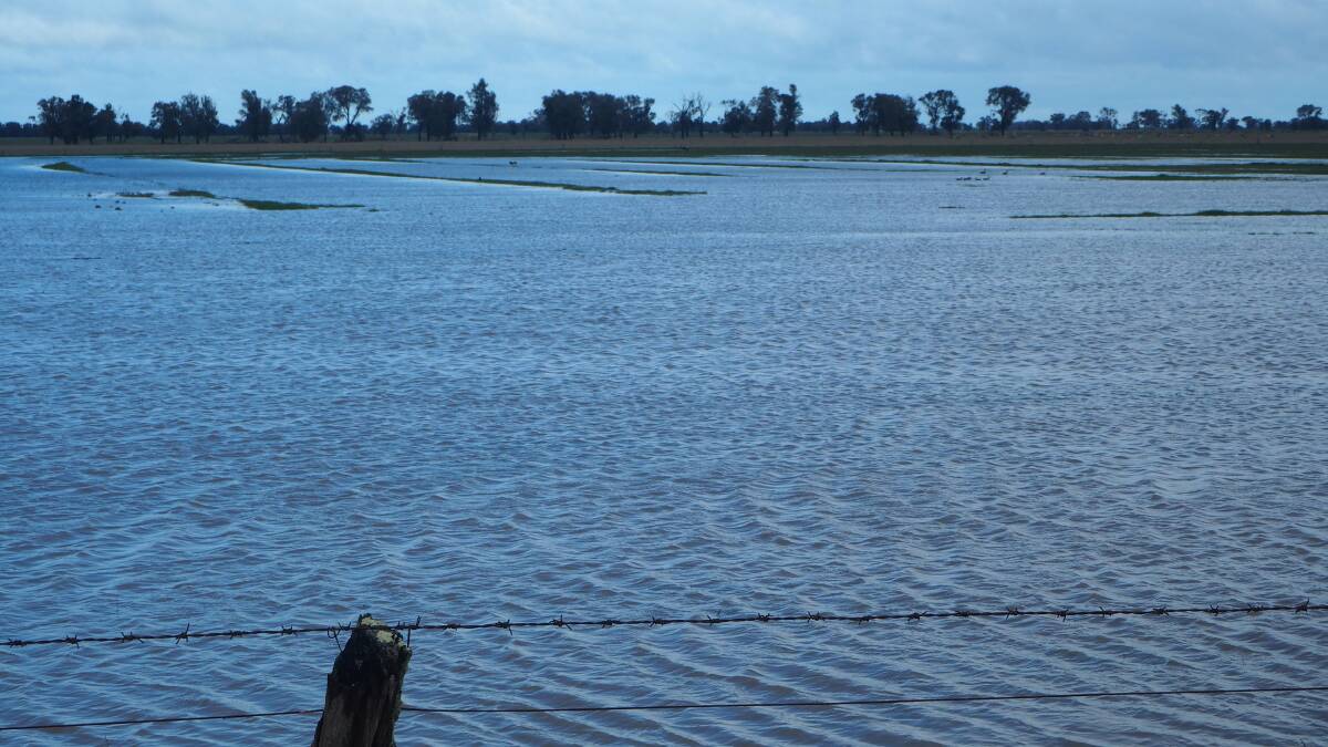 Water is covering hundreds of hectares of crop in the southern Wimmera. 