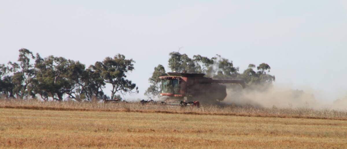 Farmers harvesting lentils have had issues with harvester fires in recent years. 