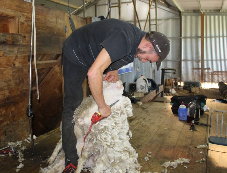 Danny Wilson shows off his style at the Murdoch family's woolshed at Apsley. 