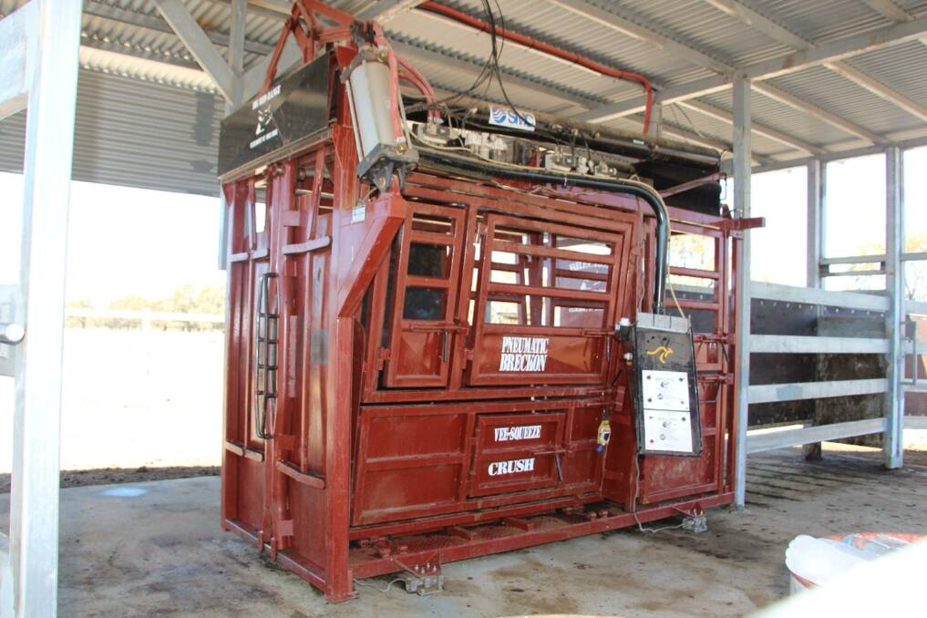 Crush king: Sam Becker from Jarrah Cattle Company said the pneumatic cattle crush purchased from Breckon Cattle Equipment fits the needs of their operation to a tee.