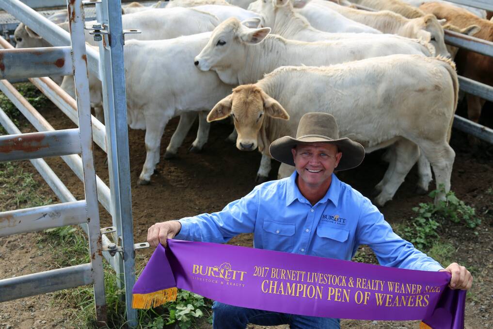Top pen: Burnett Livestock & Realty’s Lance Whitaker with the Champion Pen of the 2017 All Breeds Weaner Sale, sold by Scott and Vicki Hayes, Mundubbera. The Charbray heifers sold for 380.2c or $986/head.
