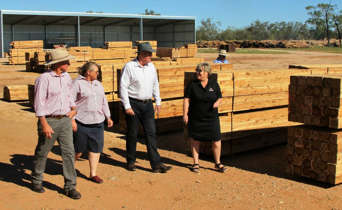 Timber talk: Blackall-Tambo deputy mayor, Lindsay Russell, councillor, Pam Pullos, and staff member, Alison Shaw, showed Agriculture Minister, Mark Furner, through the operation of the Tambo sawmill. Picture: Sally Cripps.