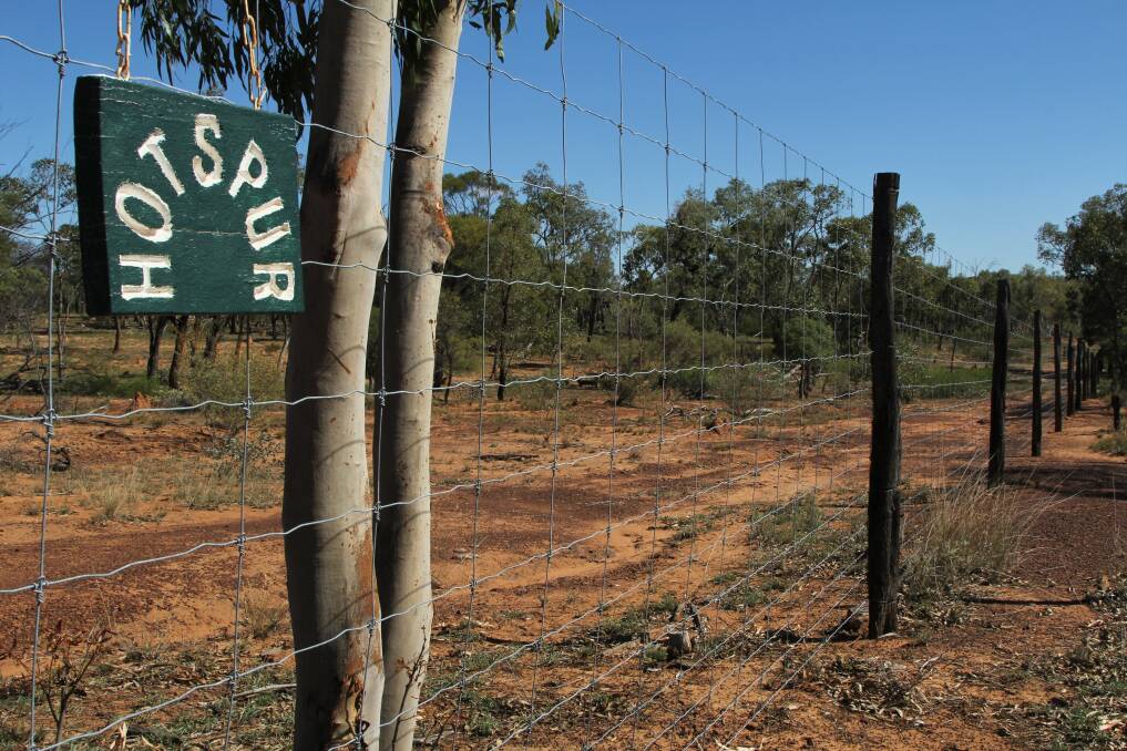 A deer-proof boundary fence has been constructed on three sides of Hotspur, joining up with the wild dog barrier fence on the fourth side.