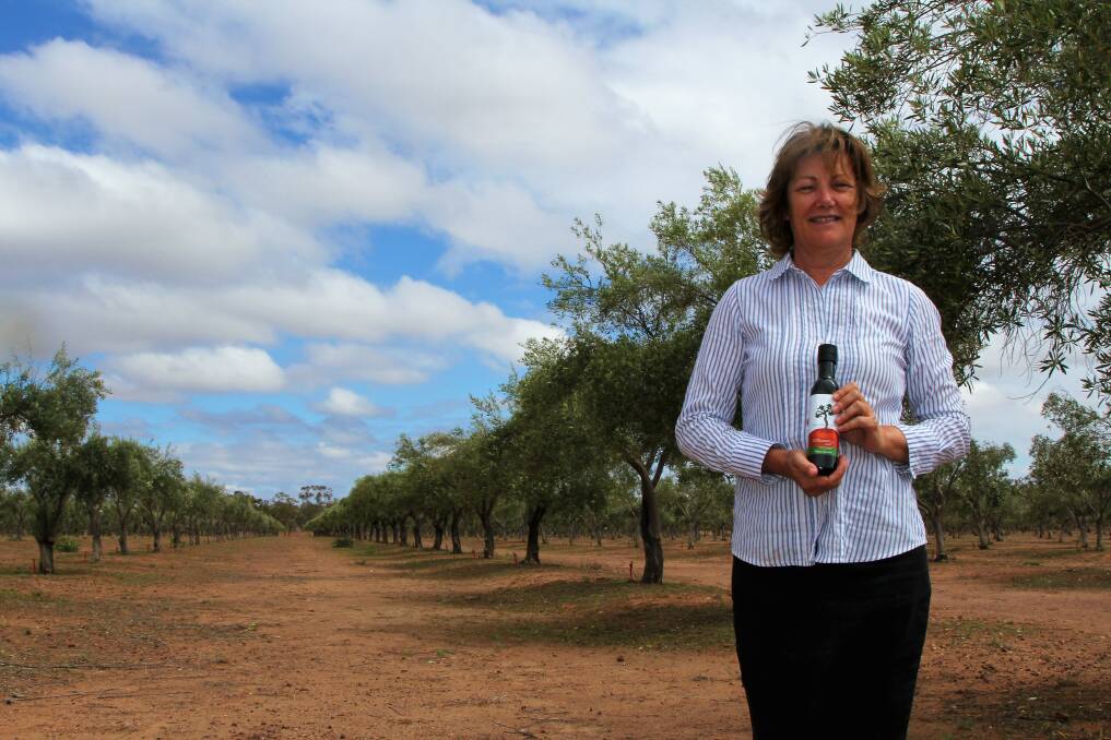 Karen McLennan displays a bottle of her award-winning Hardy's Mammoth olive oil alongside a row of the olive variety in her grove at Charleville.
