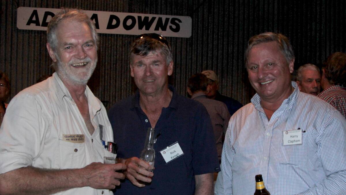 Blast from the past: Kenrick Riley, Rick Keogh and Harry Clapham relive their days at Terrick Terrick and Gowan studs in the Blackall district.