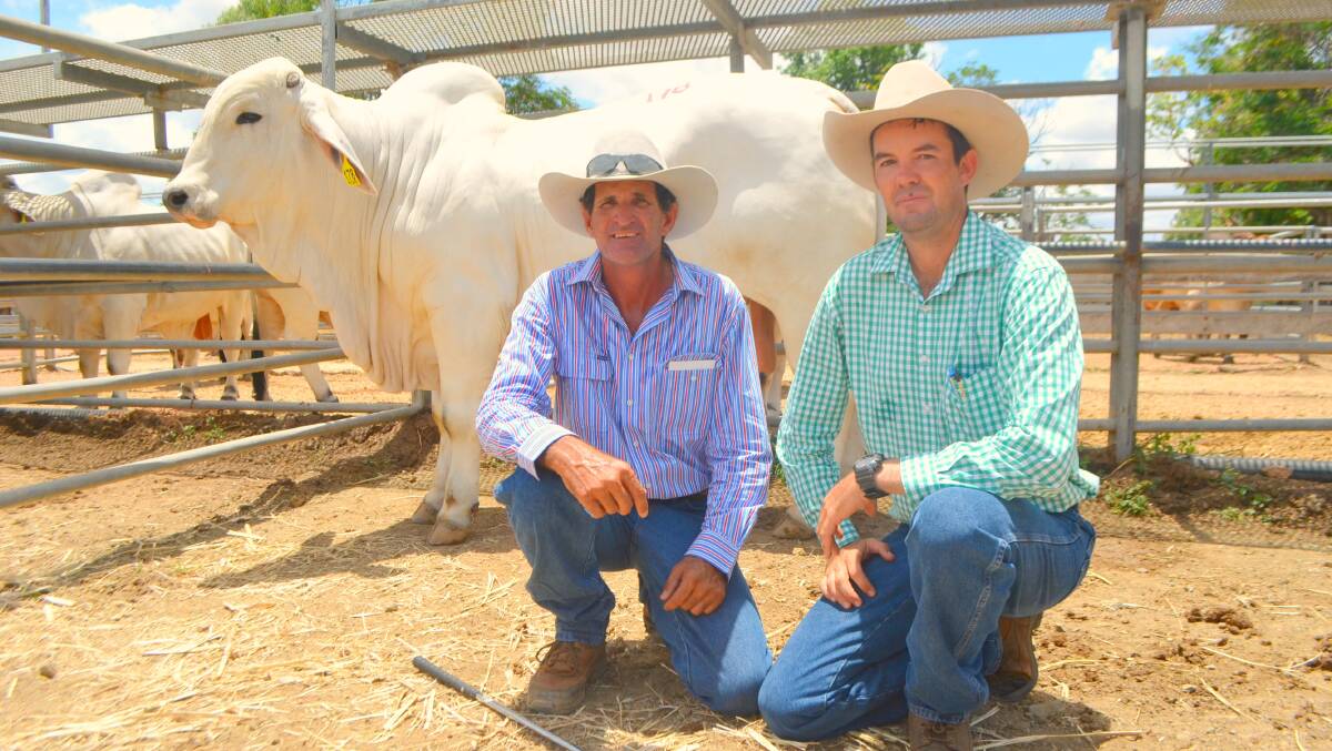 Clayton Curley with the top priced registered grey, Wiltony Tandem and vendor Brian Hughes, Lanes Creek, Georgetown. Picture: Matt Sherrington.